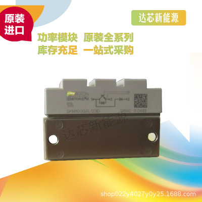 SKM100GAL12T4 SKM100GAL123D/124D SKM100GAL128D SKM100GAL12V