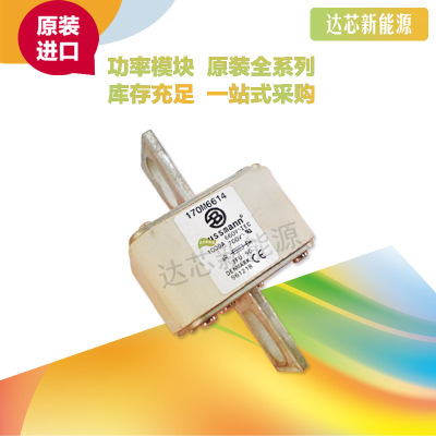 BUSSMANN熔断器170M6613 170M6614 170M6615 170M6616 170M6617